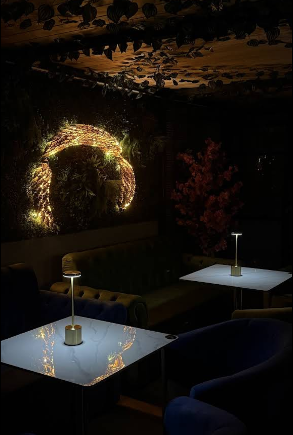 Galerie photos du restaurant Havana Lounge - Ambiance lounge et restaurant halal Villeurbanne - Photo 4